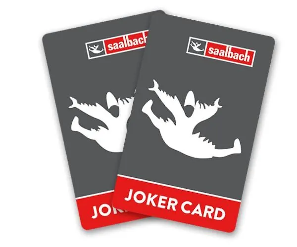 Апартаменты Niederseer Зальбах-Хинтерглемм